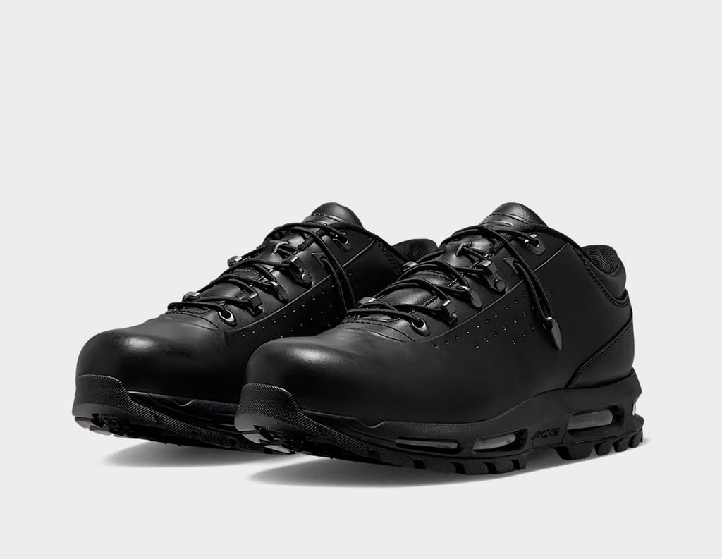 Nike Air Max Goadome Low